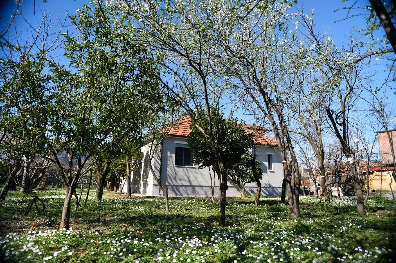 Nicolaus Hidden Gem Villa Shkodër 0*,  Albanië