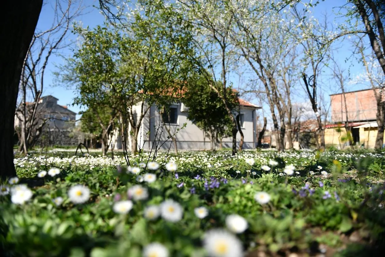 Vakantiehuis Nicolaus Hidden Gem Villa Shkodër Albanië