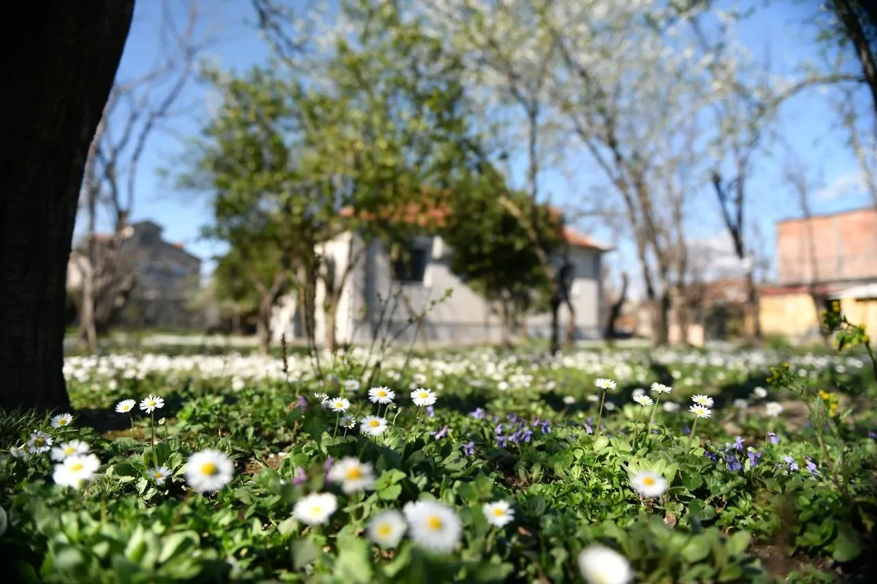 Nicolaus Hidden Gem Villa Shkoder