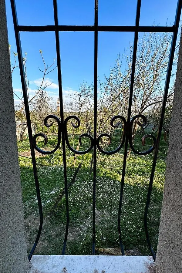 Nicolaus Hidden Gem Villa Shkodër Albanië