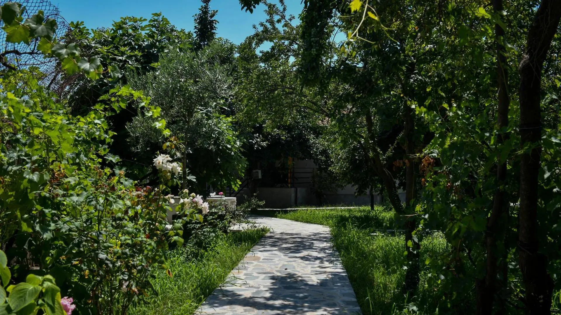 Holiday home Nicolaus Hidden Gem Villa Shkoder